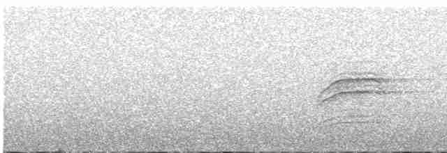 Hermit Thrush (faxoni/crymophilus) - ML606649661