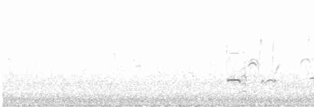 Гигантская лысуха - ML606657911