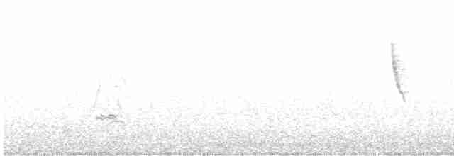Чирянка жовтодзьоба - ML606657951