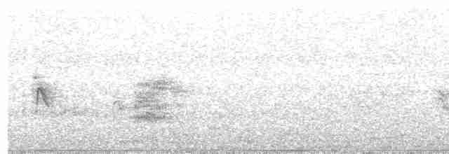 Spotless Starling - ML606659921