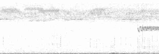 White-tailed Nightjar - ML60670