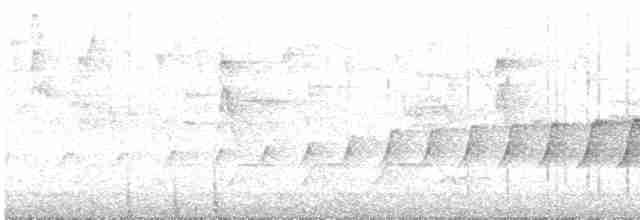 Sclater's Whistler - ML606737681