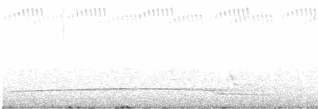 オーストラリアイシチドリ - ML606769241