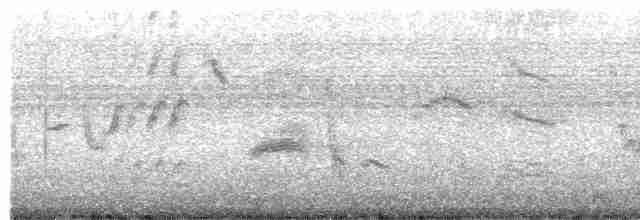 blåtrost (philippensis) - ML606770261