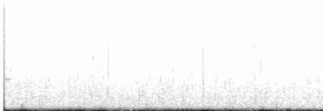 South American Tern - ML606818521