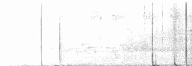 Karolina Çıtkuşu - ML606851811