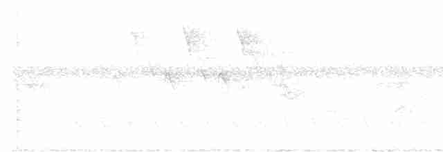 Cerulean Warbler - ML606885591