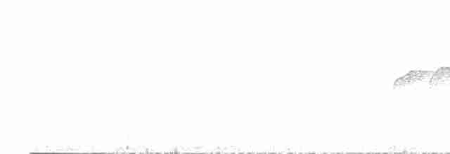 Тиран-карлик амазонійський - ML606887331