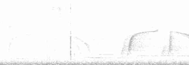Krähenstirnvogel - ML60690