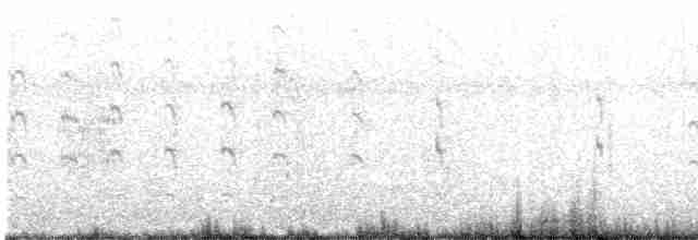 Common Tern - ML606910511