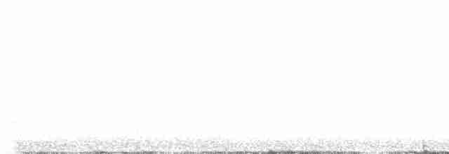 furuskrike (diademata gr.) - ML606921551