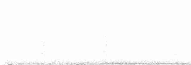 Steller's Jay (Southwest Interior) - ML606921561