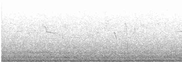 Glanzflügel-Nektarvogel (Luzonnektarvogel) - ML606949911