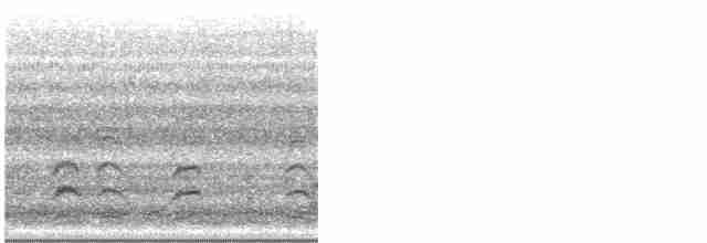 Кулик-довгоніг американський (підвид mexicanus) - ML606968501