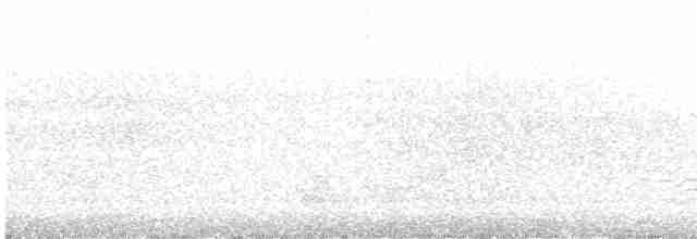 Канарский буревестник - ML607061601