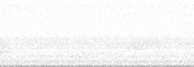 Breithauben-Stirnvogel (oleagineus) - ML60708