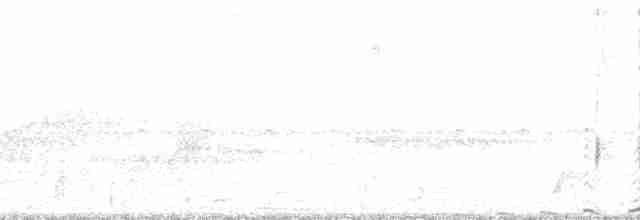 セアカオオツリスドリ（oleagineus） - ML60710