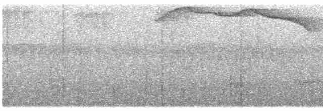 Bicol Ground-Warbler - ML607102541