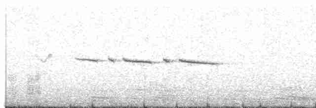 Zarzalero del Kinabalu - ML607106841