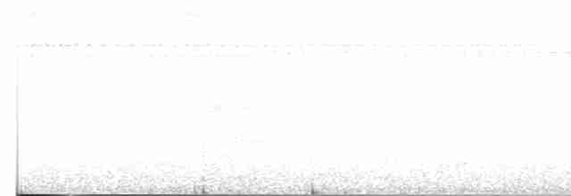 Mississippi Kite - ML607109631