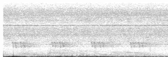 Black-eared Barbet - ML607119151