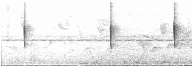 Мухолов-клинодзьоб сірий - ML60723531