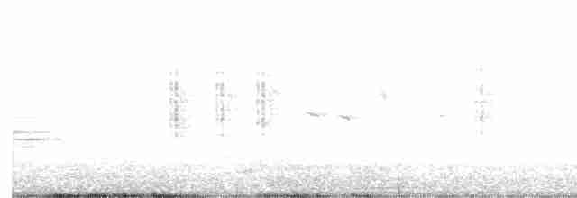 Masked Shrike - ML607241281