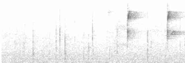 Синеголовая веерохвостка - ML607245631