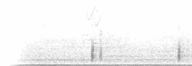 Krähenstirnvogel - ML60726