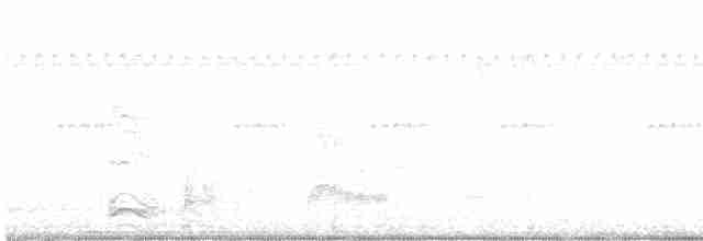 Бонапартова чайка - ML607294901