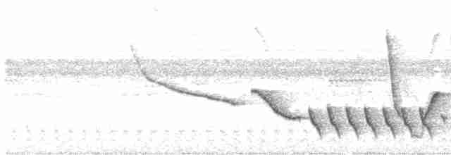 Troglodyte coraya - ML607355511