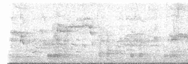 Молуккский ибис - ML607449631