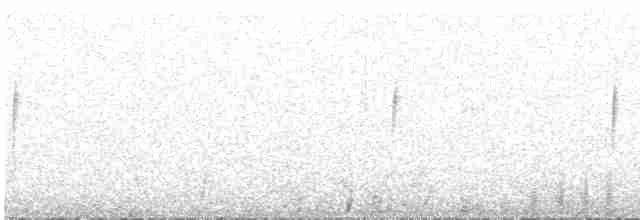 Андская лысуха - ML607451531