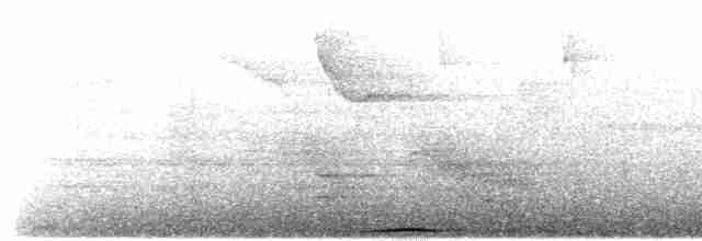 Султанская кукушковая горлица [группа albicapilla] - ML607452231