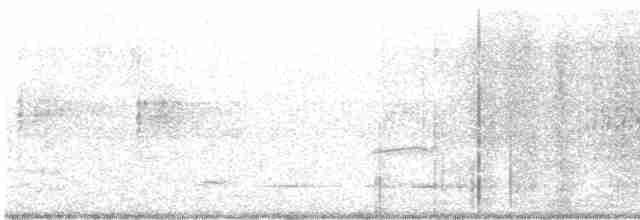 Australasian Grebe - ML607452561