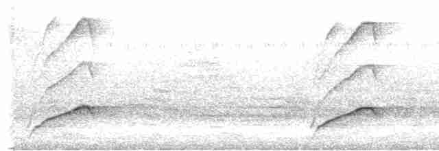 blåmaskehonningeter (albipennis) - ML607454231