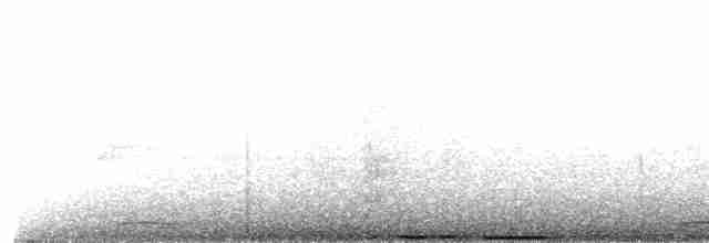 holub zelenobílý - ML607459741