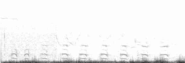 Common Gallinule - ML60747581