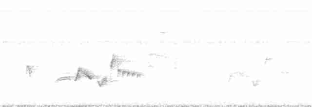 White-eyed Vireo - ML60755141