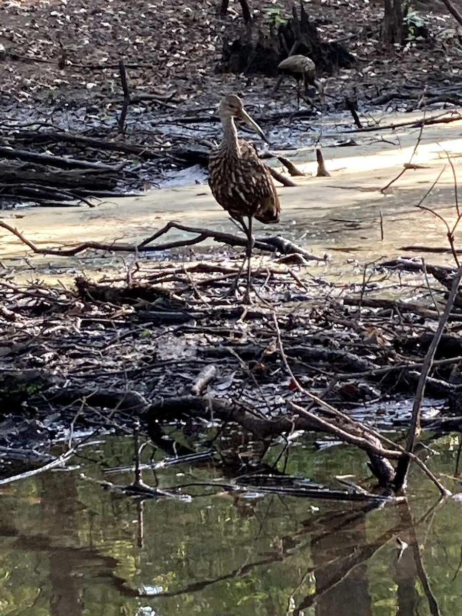 eBird Checklist 27 Aug 2023 Pond Creek NWR 1 species