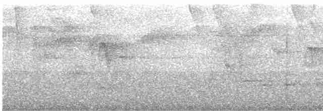 Tüpfelkronen-Ameisenvogel - ML607560701