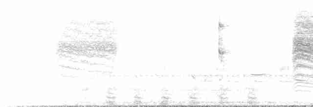 Трупіал плямистоволий - ML607561971