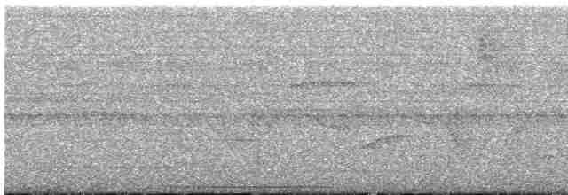 holub šedohlavý - ML607592861