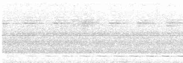 Streifenbrust-Ameisendrossel - ML607611861