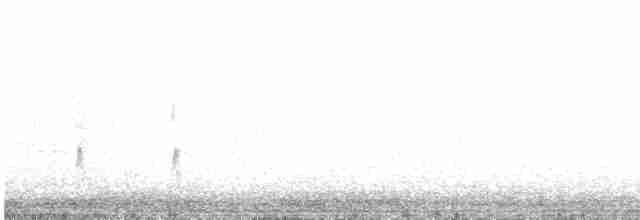 Çizgili Gerdanlı Sepetören - ML607613971