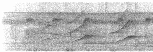 Дереволаз-довгохвіст великий (підвид longicauda) - ML607641961
