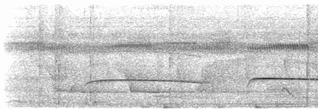 Желтоклювая якамара (albirostris) - ML607642151