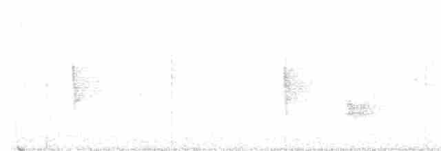 Kara Kanatlı Piranga - ML607645371