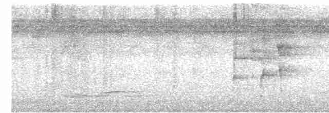 Ошейниковый арасари - ML607691921