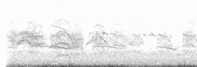 Common Tern - ML607693741